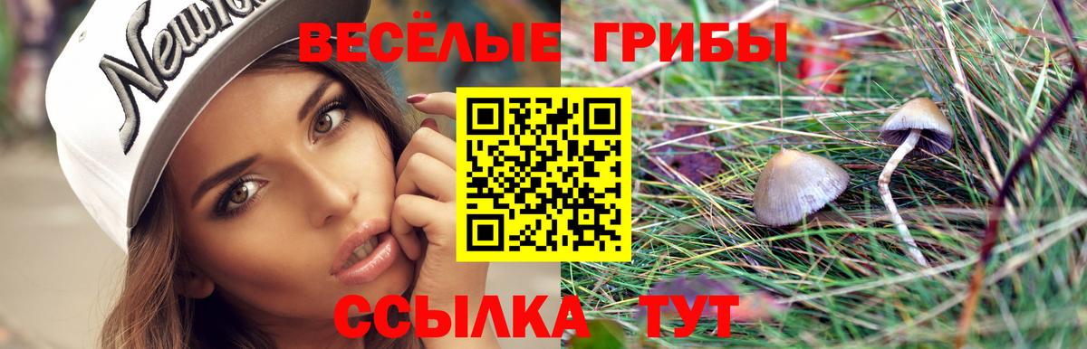 Зеленокумск  Галлюциногенные грибы Psilocybe  Галлюциногенные грибы прущие грибы  Вход с VPN 